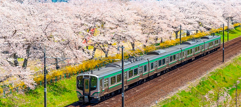 Tohoku, Japón