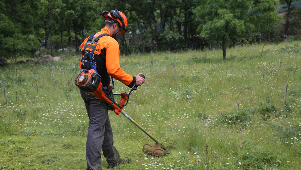 Desbroce técnico: prevención de incendios y recuperación del terreno