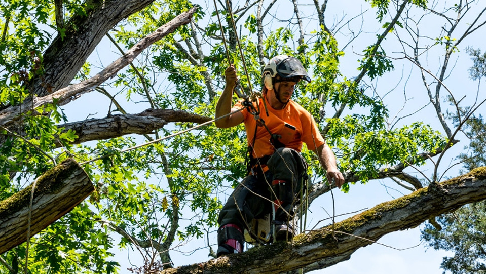 Técnicas modernas y gestión responsable