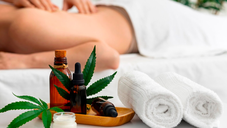 La fisiología del estrés y la respuesta del cuerpo